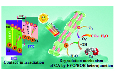 Unlocking the mechanism of improved charge separation of FeVO4/BiOBr S-scheme heterojunction for polyphenolic pharmaceutical wastewater purification 2026.101048